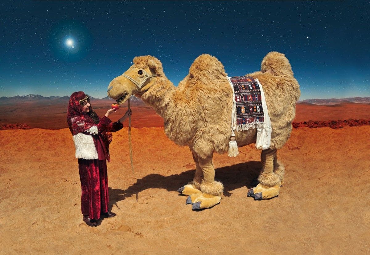 Galeriebild für Kamelita das Kamel