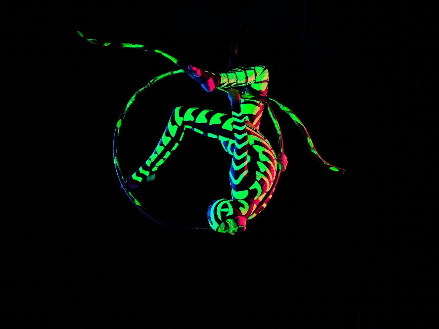 Neon Aerial Hoop über GoForArtists buchen.jpg
